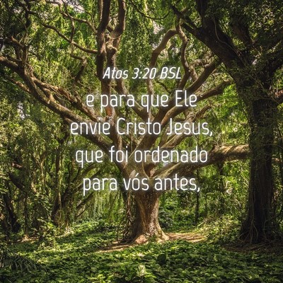 Picture 04 - Atos 3:20 BSL - e para que Ele envie Cristo Jesus, que foi - Bible Verse Picture