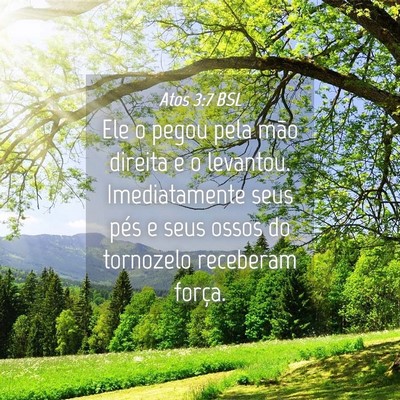 Picture 04 - Atos 3:7 BSL - Ele o pegou pela mão direita e o levantou. - Bible Verse Picture