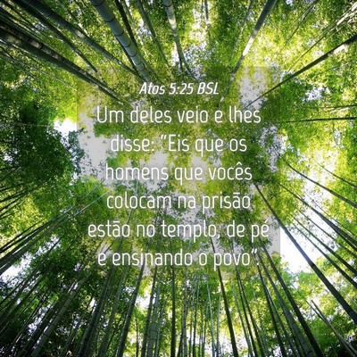 Picture 04 - Atos 5:25 BSL - Um deles veio e lhes disse: “Eis que os homens - Bible Verse Picture