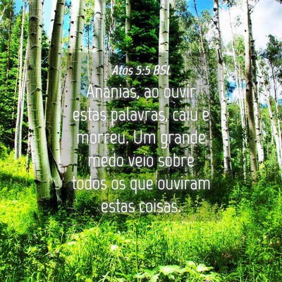 Picture 04 - Atos 5:5 BSL - Ananias, ao ouvir estas palavras, caiu e morreu. - Bible Verse Picture