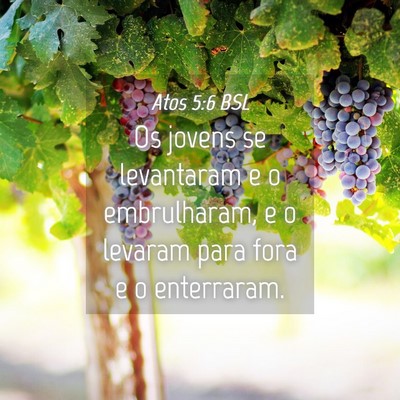Picture 04 - Atos 5:6 BSL - Os jovens se levantaram e o embrulharam, e o - Bible Verse Picture