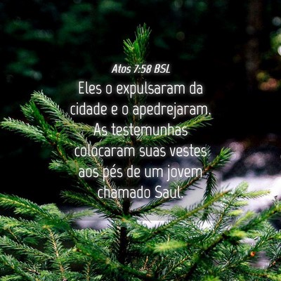 Picture 04 - Atos 7:58 BSL - Eles o expulsaram da cidade e o apedrejaram. As - Bible Verse Picture