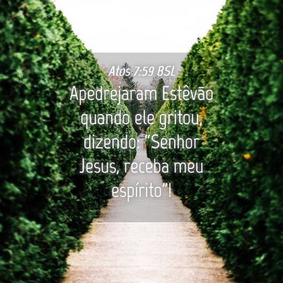 Picture 04 - Atos 7:59 BSL - Apedrejaram Estêvão quando ele gritou, dizendo: - Bible Verse Picture