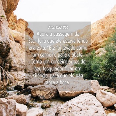 Picture 04 - Atos 8:32 BSL - Agora a passagem da Escritura que ele estava - Bible Verse Picture