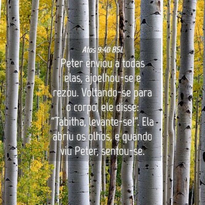 Picture 04 - Atos 9:40 BSL - Peter enviou a todas elas, ajoelhou-se e rezou. - Bible Verse Picture