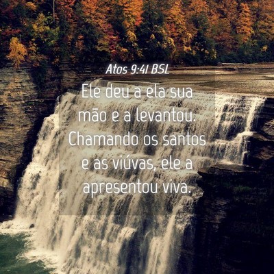 Picture 04 - Atos 9:41 BSL - Ele deu a ela sua mão e a levantou. Chamando os - Bible Verse Picture