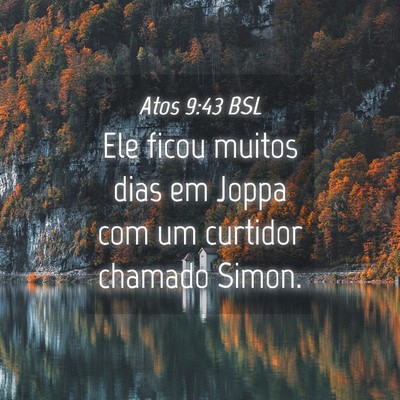 Picture 04 - Atos 9:43 BSL - Ele ficou muitos dias em Joppa com um curtidor - Bible Verse Picture