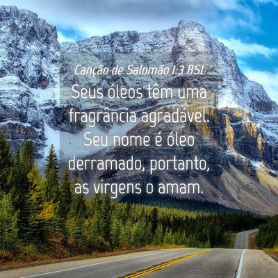 Picture 04 - Canção de Salomão 1:3 BSL - Seus óleos têm uma fragrância agradável. Seu - Bible Verse Picture