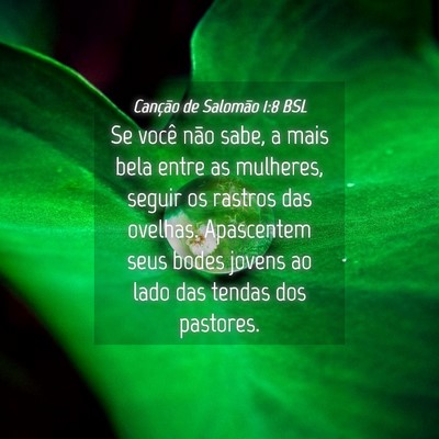 Picture 04 - Canção de Salomão 1:8 BSL - Se você não sabe, a mais bela entre as - Bible Verse Picture