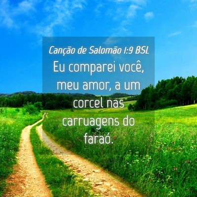 Picture 04 - Canção de Salomão 1:9 BSL - Eu comparei você, meu amor, a um corcel nas - Bible Verse Picture