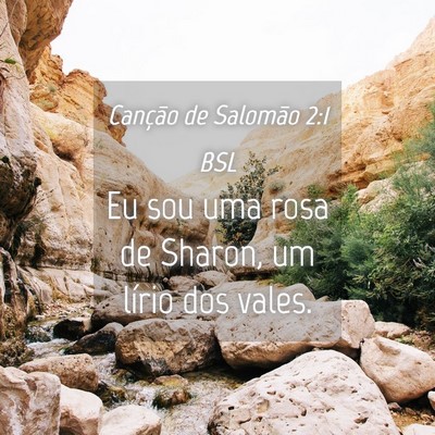 Picture 04 - Canção de Salomão 2:1 BSL - Eu sou uma rosa de Sharon, um lírio dos - Bible Verse Picture