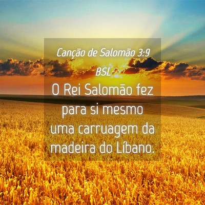 Picture 04 - Canção de Salomão 3:9 BSL - O Rei Salomão fez para si mesmo uma carruagem da - Bible Verse Picture