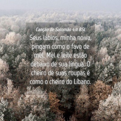 Picture 04 - Canção de Salomão 4:11 BSL - Seus lábios, minha noiva, pingam como o favo de - Bible Verse Picture