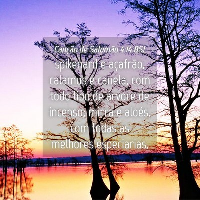 Picture 04 - Canção de Salomão 4:14 BSL - spikenard e açafrão, calamus e canela, com todo - Bible Verse Picture