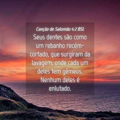 Picture 04 - Canção de Salomão 4:2 BSL - Seus dentes são como um rebanho recém-cortado, - Bible Verse Picture