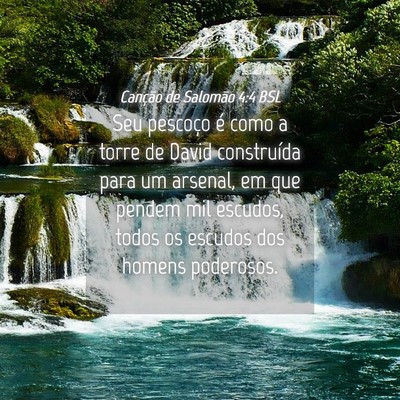 Picture 04 - Canção de Salomão 4:4 BSL - Seu pescoço é como a torre de David construída - Bible Verse Picture