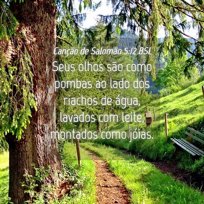 Picture 04 - Canção de Salomão 5:12 BSL - Seus olhos são como pombas ao lado dos riachos - Bible Verse Picture