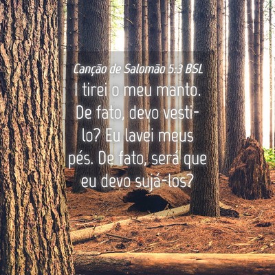Picture 04 - Canção de Salomão 5:3 BSL - I tirei o meu manto. De fato, devo vesti-lo? Eu - Bible Verse Picture