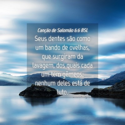 Picture 04 - Canção de Salomão 6:6 BSL - Seus dentes são como um bando de ovelhas, que - Bible Verse Picture