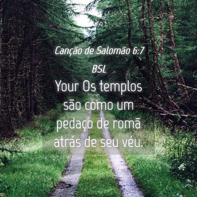 Picture 04 - Canção de Salomão 6:7 BSL - Your Os templos são como um pedaço de romã - Bible Verse Picture