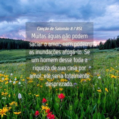 Picture 04 - Canção de Salomão 8:7 BSL - Muitas águas não podem saciar o amor, nem podem - Bible Verse Picture