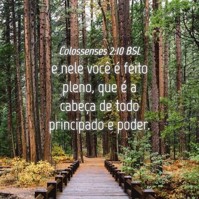Picture 04 - Colossenses 2:10 BSL - e nele você é feito pleno, que é a cabeça de - Bible Verse Picture