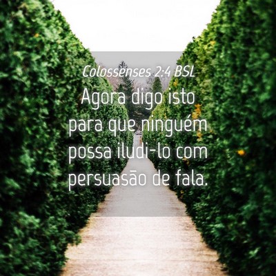 Picture 04 - Colossenses 2:4 BSL - Agora digo isto para que ninguém possa iludi-lo - Bible Verse Picture