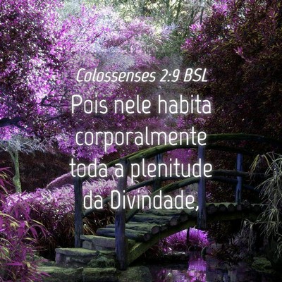 Picture 04 - Colossenses 2:9 BSL - Pois nele habita corporalmente toda a plenitude - Bible Verse Picture