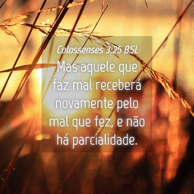 Picture 04 - Colossenses 3:25 BSL - Mas aquele que faz mal receberá novamente pelo - Bible Verse Picture