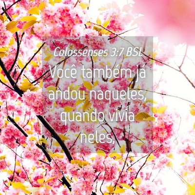 Picture 04 - Colossenses 3:7 BSL - Você também já andou naqueles, quando vivia - Bible Verse Picture
