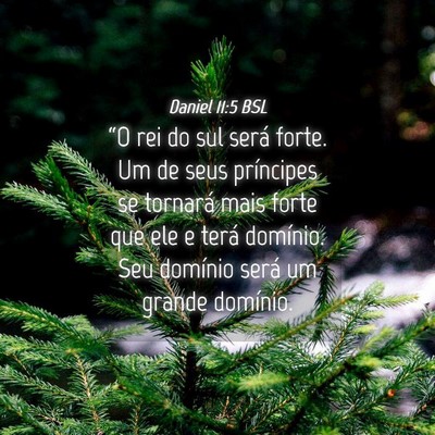 Picture 04 - Daniel 11:5 BSL - “O rei do sul será forte. Um de seus - Bible Verse Picture