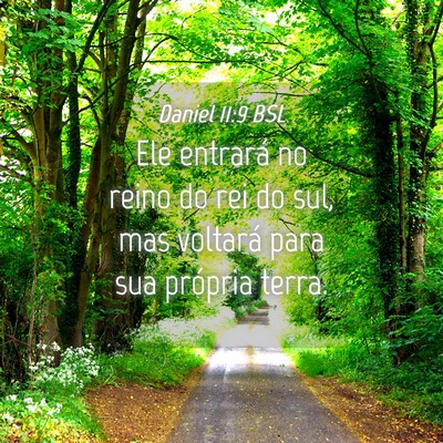 Picture 04 - Daniel 11:9 BSL - Ele entrará no reino do rei do sul, mas voltará - Bible Verse Picture