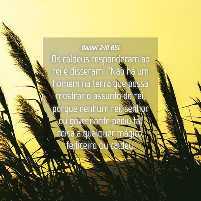 Picture 04 - Daniel 2:10 BSL - Os caldeus responderam ao rei e disseram: “Não - Bible Verse Picture