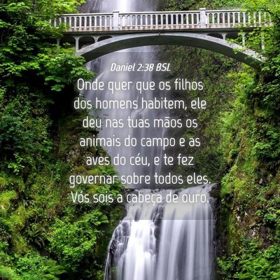 Picture 04 - Daniel 2:38 BSL - Onde quer que os filhos dos homens habitem, ele - Bible Verse Picture