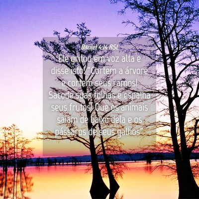 Picture 04 - Daniel 4:14 BSL - Ele gritou em voz alta e disse isto: “Cortem a - Bible Verse Picture