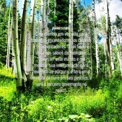 Picture 04 - Daniel 5:7 BSL - O rei clamou em voz alta para trazer os - Bible Verse Picture