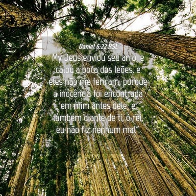 Picture 04 - Daniel 6:22 BSL - My Deus enviou seu anjo, e calou a boca dos - Bible Verse Picture