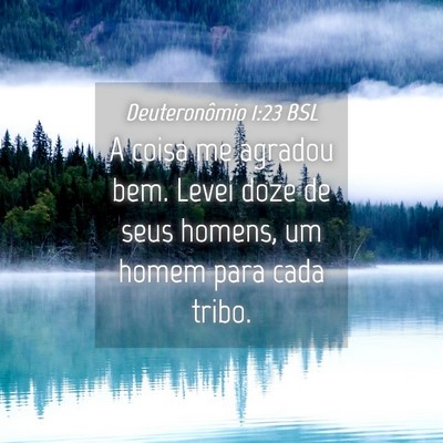 Picture 04 - Deuteronômio 1:23 BSL - A coisa me agradou bem. Levei doze de seus - Bible Verse Picture
