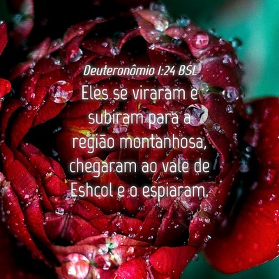 Picture 04 - Deuteronômio 1:24 BSL - Eles se viraram e subiram para a região - Bible Verse Picture