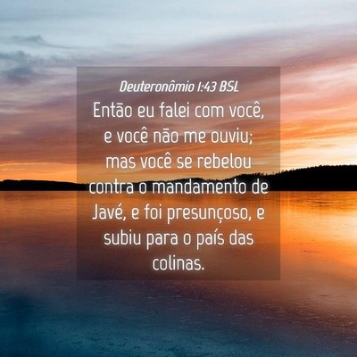 Picture 04 - Deuteronômio 1:43 BSL - Então eu falei com você, e você não me ouviu; - Bible Verse Picture