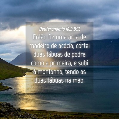 Picture 04 - Deuteronômio 10:3 BSL - Então fiz uma arca de madeira de acácia, cortei - Bible Verse Picture
