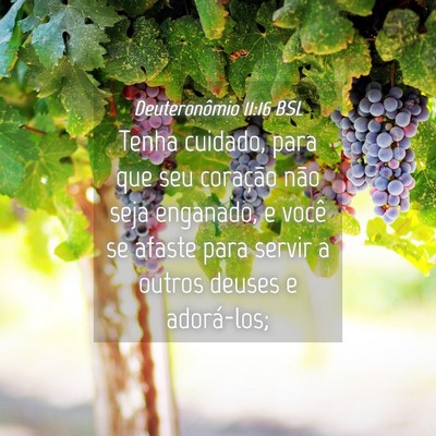 Picture 04 - Deuteronômio 11:16 BSL - Tenha cuidado, para que seu coração não seja - Bible Verse Picture