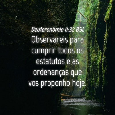 Picture 04 - Deuteronômio 11:32 BSL - Observareis para cumprir todos os estatutos e as - Bible Verse Picture