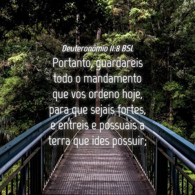 Picture 04 - Deuteronômio 11:8 BSL - Portanto, guardareis todo o mandamento que vos - Bible Verse Picture
