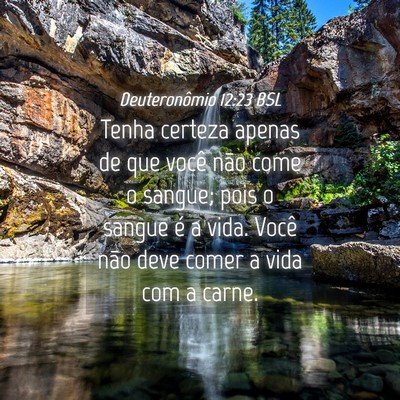 Picture 04 - Deuteronômio 12:23 BSL - Tenha certeza apenas de que você não come o - Bible Verse Picture