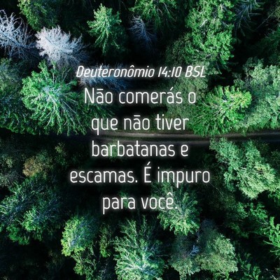 Picture 04 - Deuteronômio 14:10 BSL - Não comerás o que não tiver barbatanas e - Bible Verse Picture
