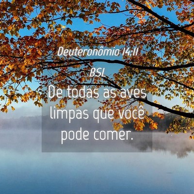 Picture 04 - Deuteronômio 14:11 BSL - De todas as aves limpas que você pode - Bible Verse Picture