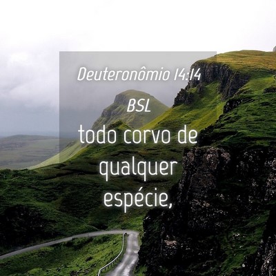 Picture 04 - Deuteronômio 14:14 BSL - todo corvo de qualquer - Bible Verse Picture