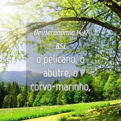 Picture 04 - Deuteronômio 14:17 BSL - o pelicano, o abutre, o - Bible Verse Picture