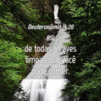 Picture 04 - Deuteronômio 14:20 BSL - de todas as aves limpas que você pode - Bible Verse Picture